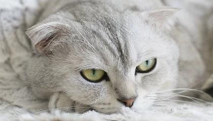 爱游戏体育app-韩国电视剧热播引国际粉丝追捧，韩国电视剧热播电视剧