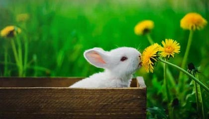 爱游戏体育app-韩国电视剧热播引国际粉丝追捧，韩国电视剧热播电视剧