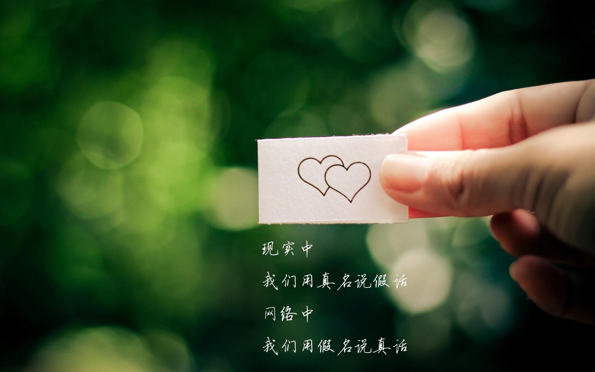 上海青少年篮球培训基地正式投入使用，上海青少年篮球队