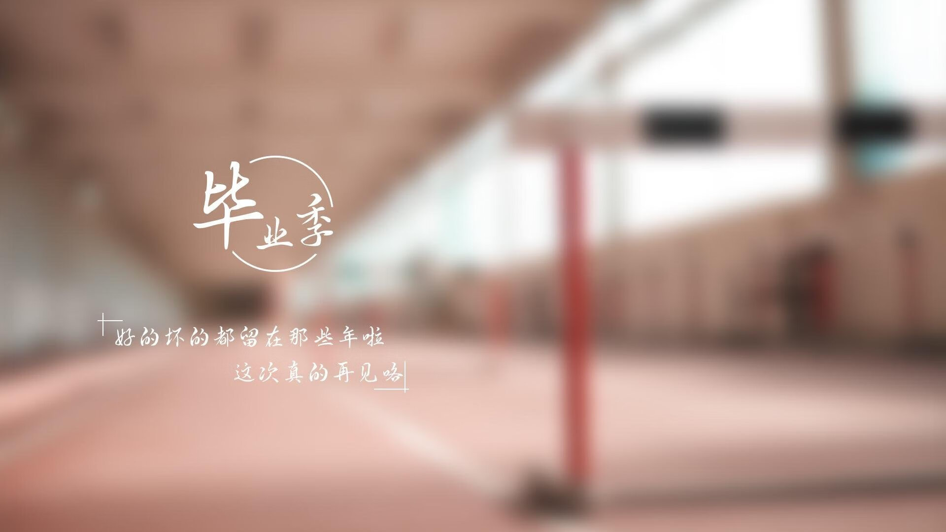 赛道风云：WRC不同地形挑战全解析，wrc经典赛道
