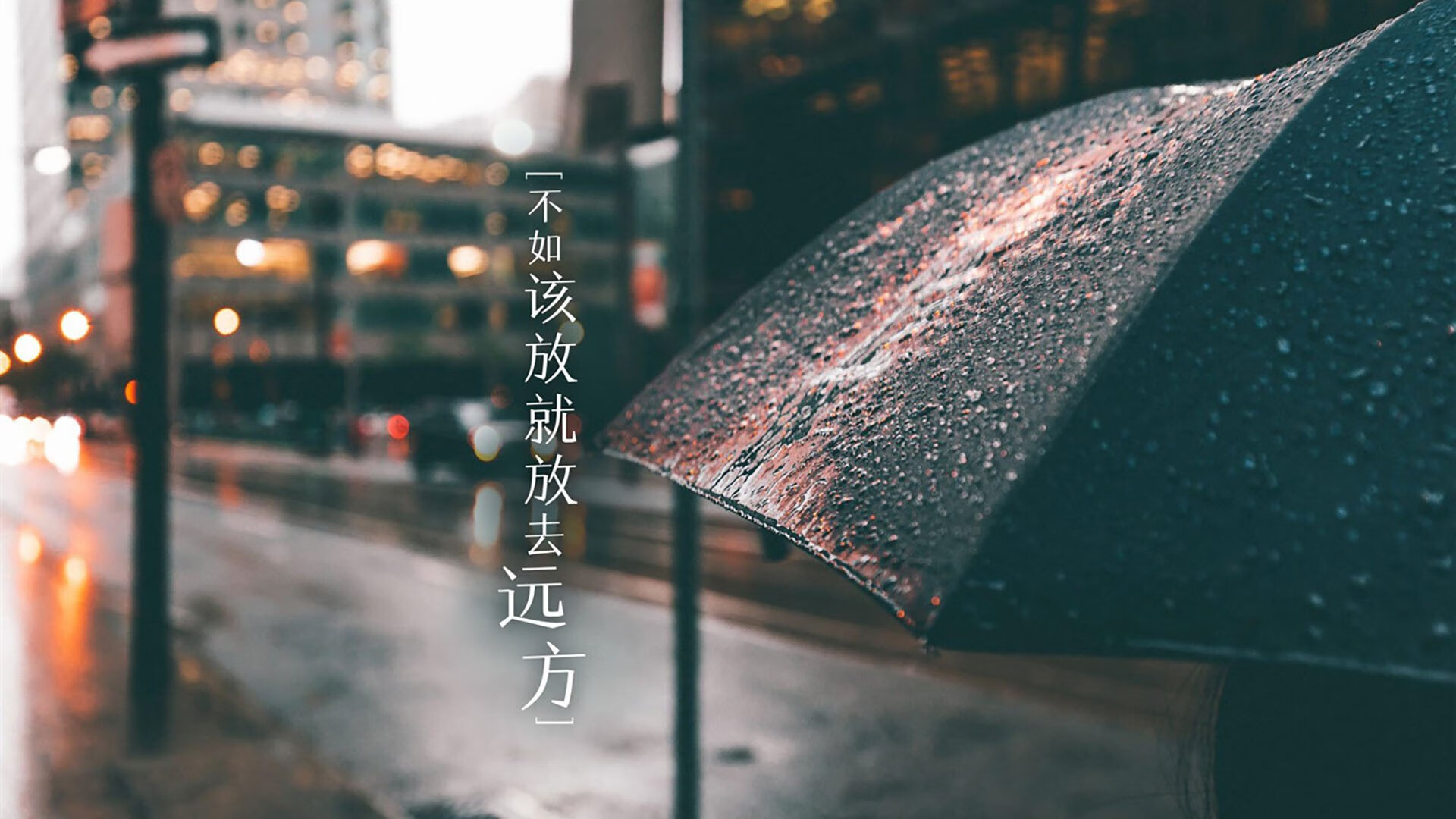 黄蜂与高校合作开设“篮球裁判实训课程”，黄蜂球场