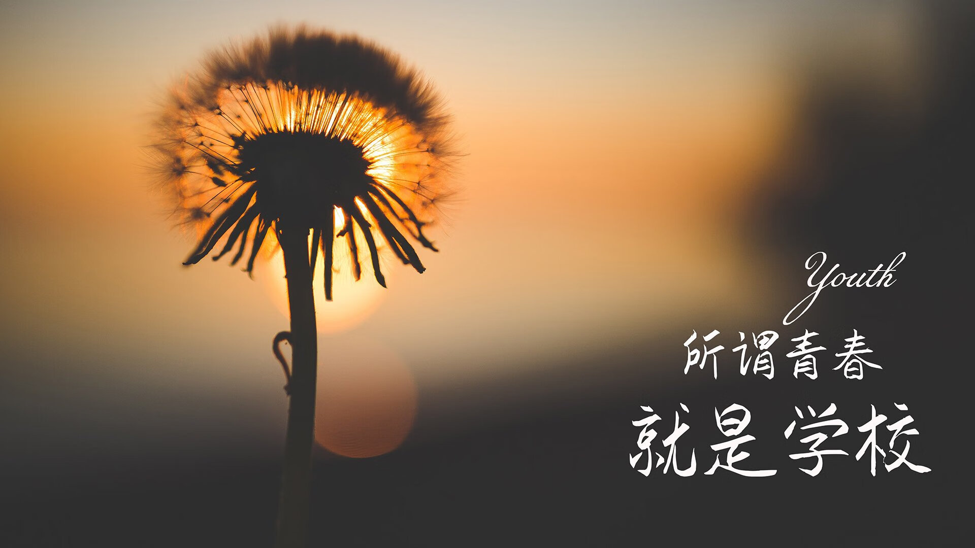 爱尔兰队在比赛中表现出令人瞩目的实力，爱尔兰足球联赛水平