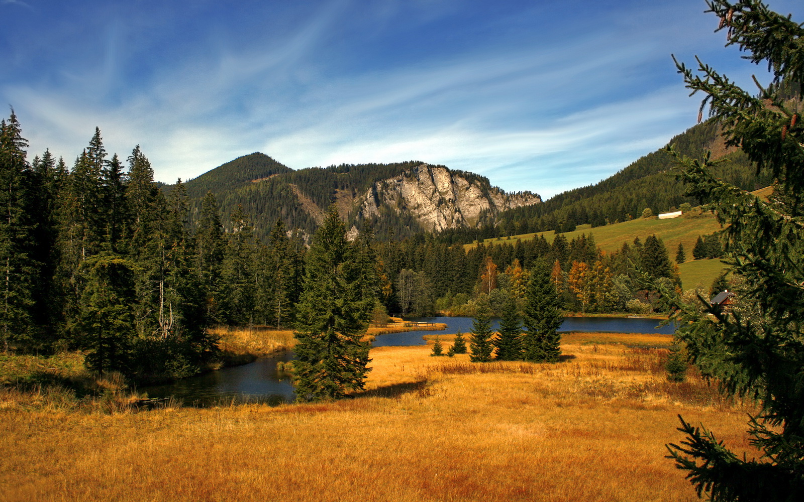 AYX体育-PSG进攻端缺乏效率错失良机