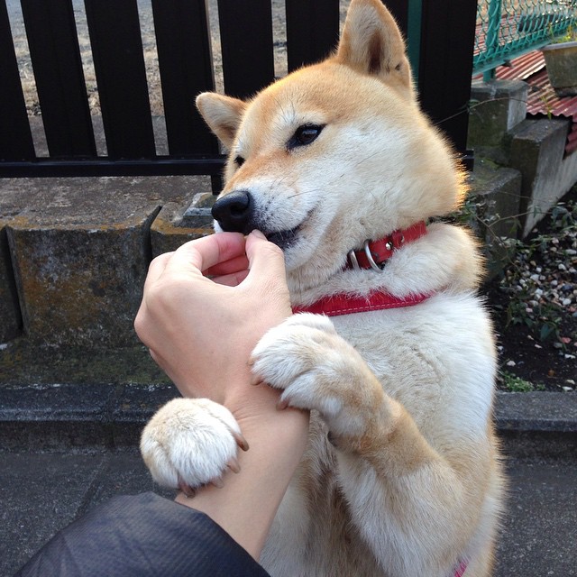 爱游戏平台-世界杯预选赛中国青年队平局 球员比赛节奏需提升，世界杯预选赛中国队晋级希望