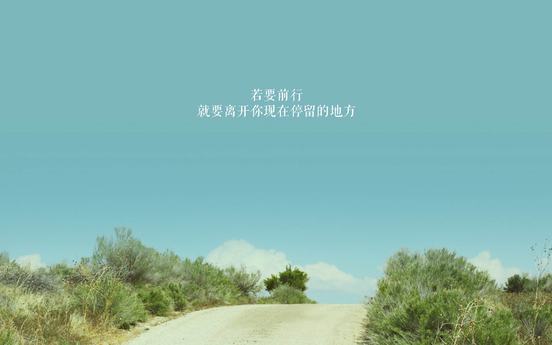 美国队的未来：如何借助战术分析系统提升球队整体实力，美国的队伍