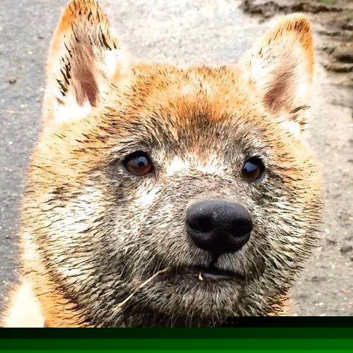 爱游戏app-掘金外援首次亮相媒体日状态神勇，掘金引援