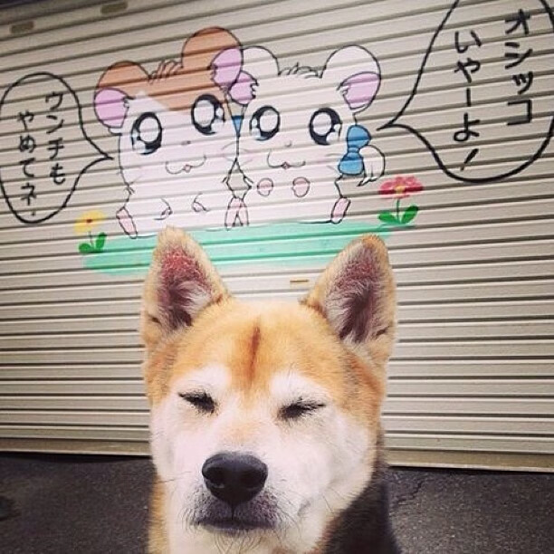 新闻中心通报运动科技伦理研究课题阶段成果，运动伦理学