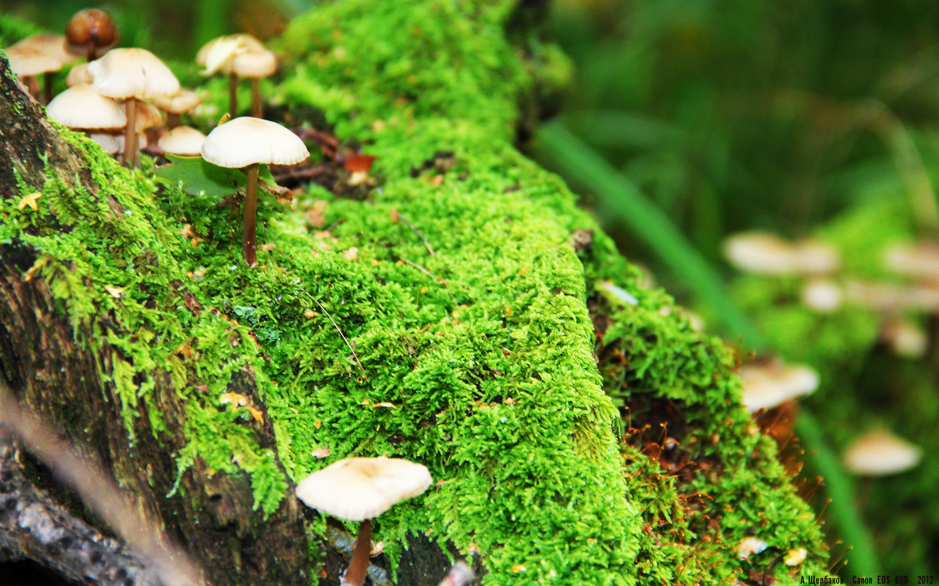 爱游戏电竞官网-欧洲杯绝妙战术：阵型变化引领场上新趋势，欧洲杯各组形势