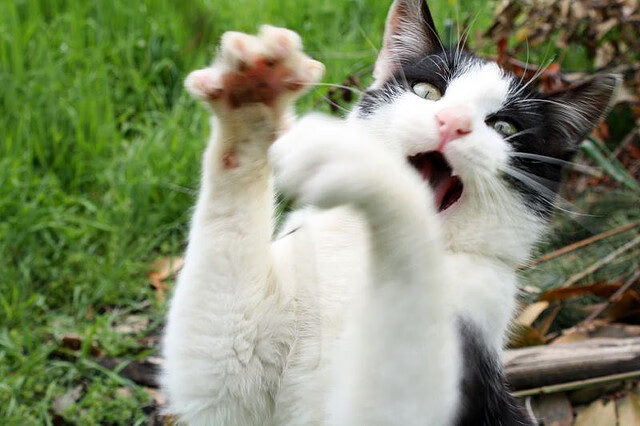 爱游戏app下载-皇马青训不断创新，未来阵容令人期待