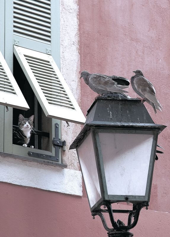 约翰·恩多耶-布鲁阿尔稳定发挥赢得满堂彩，多恩布什