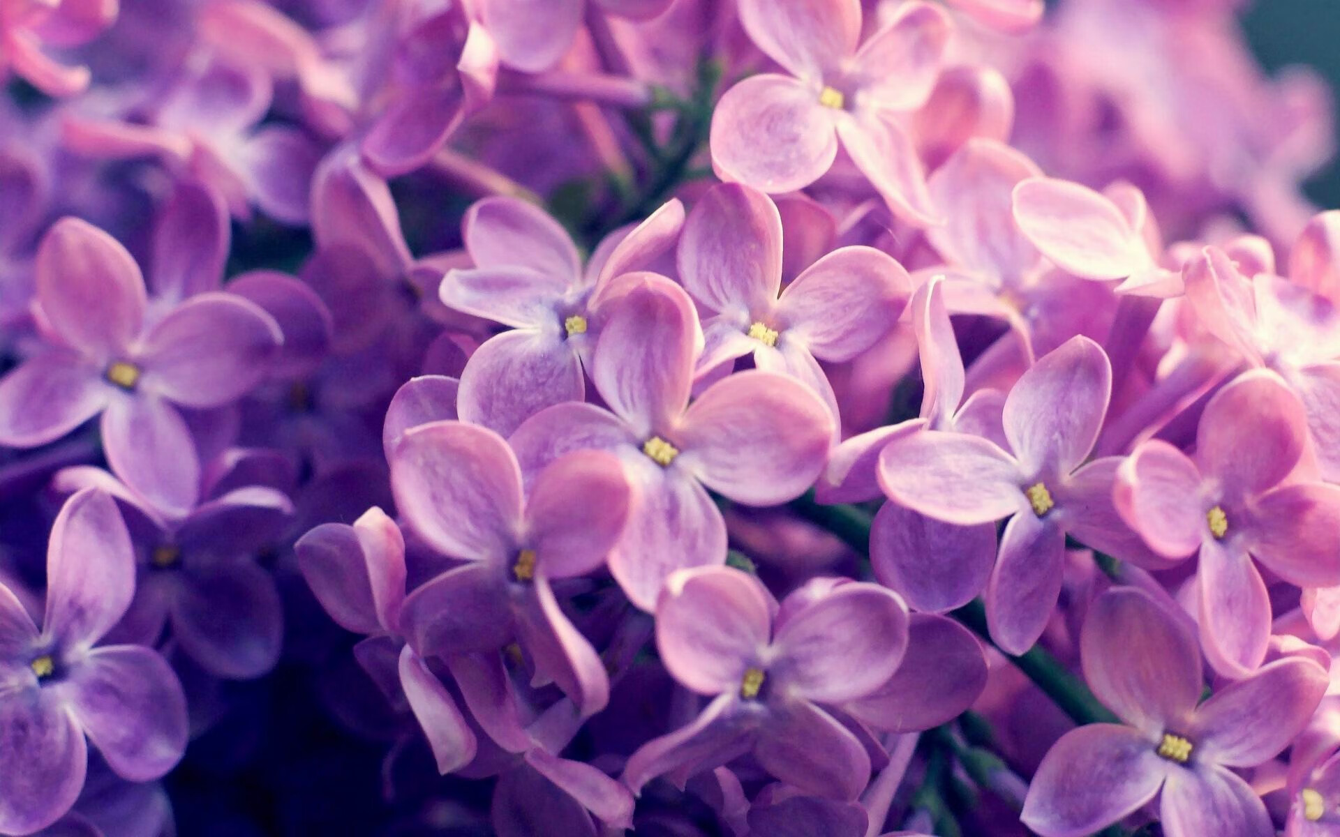 AYX体育-越南男篮在亚洲锦标赛中奋勇争先，期待历史突破