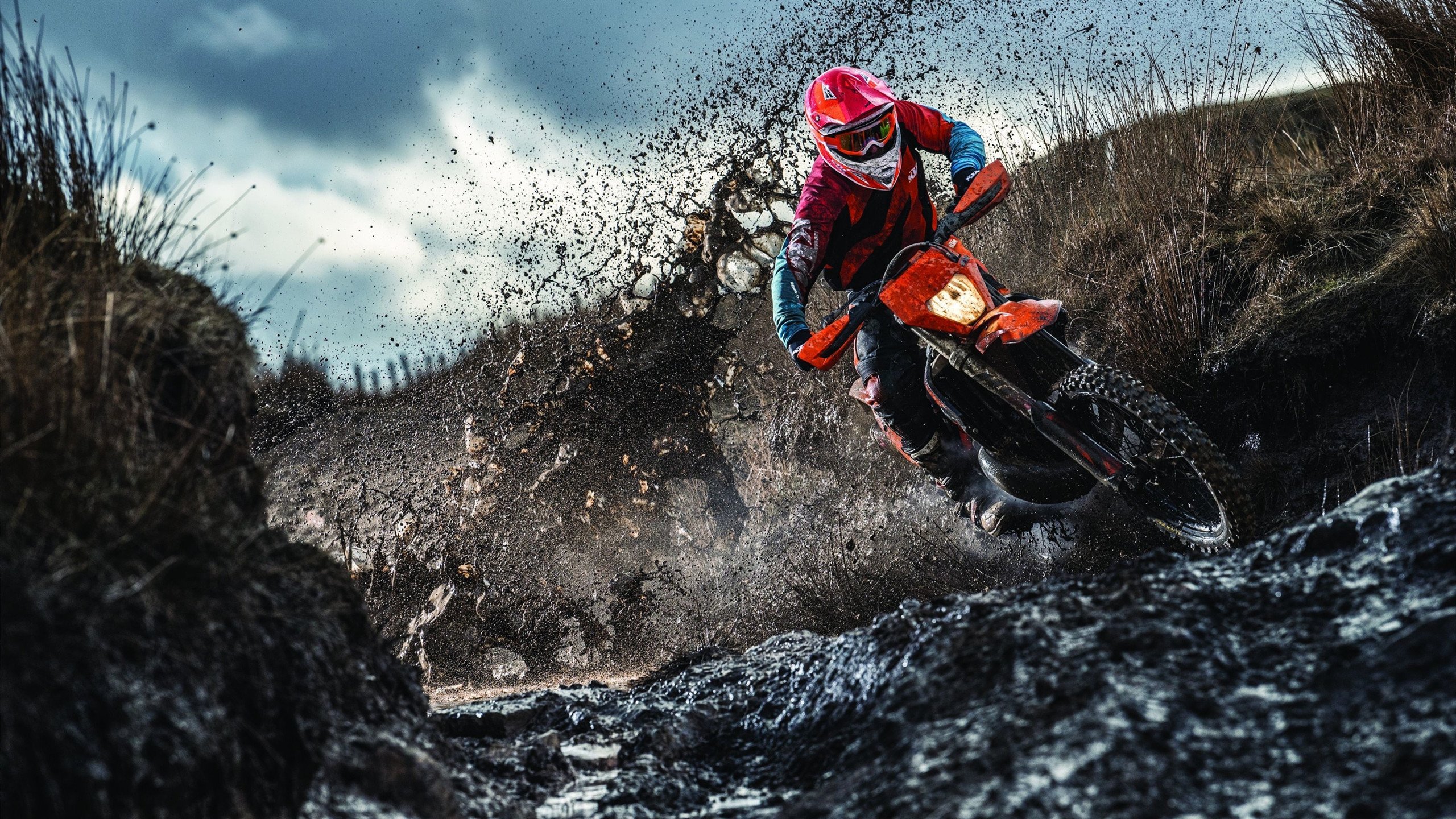 《电竞冬奥：虚拟运动会引领新潮流》，电竞奥运会比赛项目