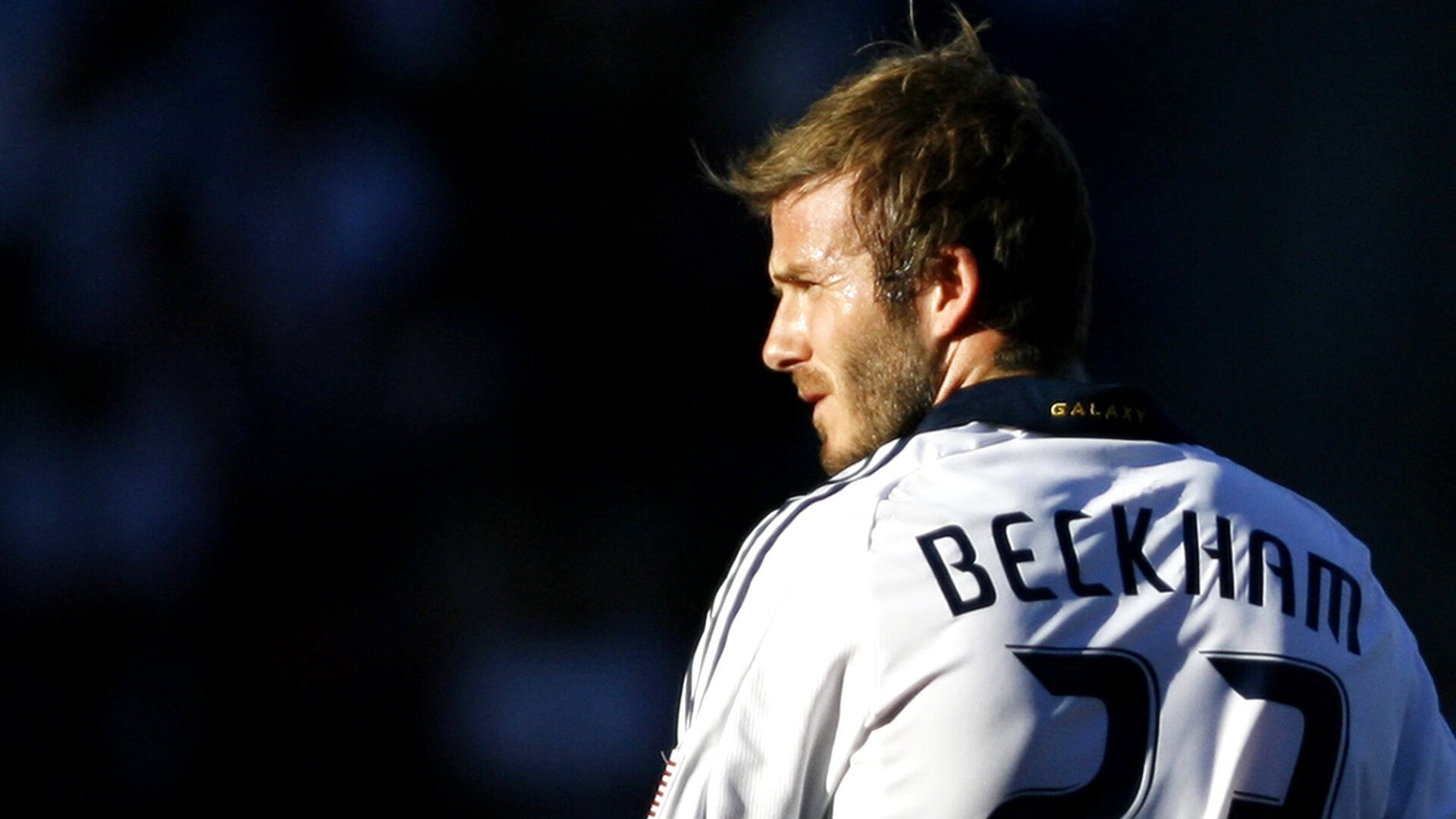 欢庆赛季结束：年度嘉年华盛大开启，嘉年华系列赛进度